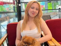 Pomeranian 3 Yaş Dişi
