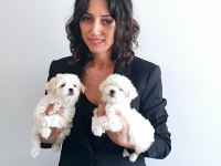 KAR BEYAZ KORE KAN TEACUP MALTESE YAVRULARIMIZ