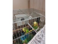 HERŞEYİYLE ÇİFT JUMBO MUHABBET BİLEZİKLİ UYGUNA