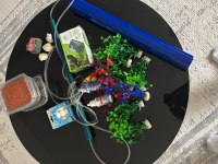 Hazır kurulu set 3 aylık akvaryum