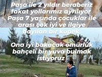7 yaşında çocuklar ile arası iyi paşa köpeğimiz
