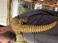 Yasal Mikroçipli Ek15 belgeli Uromastx Geyri