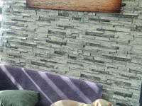 Acil golden retriever kızıma arkadaş arıyorum