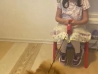 Pomeranian acil yuva arıyoruz