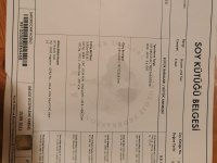Üretim izinli doberman