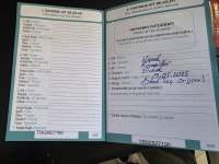 DEV ROTTWEİLER YAVRUSU ERKEK