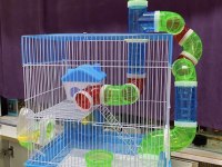 PETSHOP lara hamster ÇIKIŞ NOKTASI