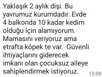 Çok uysal akıllı bir kedidir