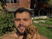 KORE TEACUP POODLE YAVRULARIMIZ YENİ YUVASINA HAZIR