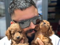 Sevgi Tadında Kore Toy Poodle Bebekler