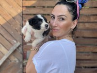 Border Collie yavrularım sağlık ve ırk garantilidir
