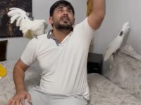Kakadu isteyen varsa buyursun kapımız açıktır