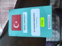 Alman kurdu eğitimli