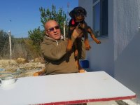 Rottweiler von baboş