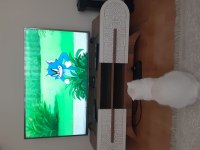 Ücretsiz verilecek malzemeleriyle 7.5 aylık scottish fold