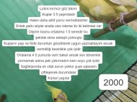 ÜRETİME UYGUN TAKIM SULTAN PAPAĞANLARI