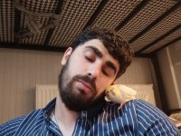 Sultan papağanı 2,5 aylık