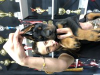 Dünyaca ünlü doberman torunu