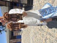 Toy ve kore poodle yavrularım sağlık ve ırk
