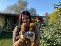 Ufacık kilo garantili aşılı toy poodle yavrularım
