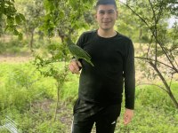 14 AYLIK SAHİPLENDİRME AMAZON PAPAĞANI