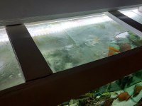 Malzemeleri ile birlikte 100x50x50 Mobilyalı Akvaryum (MDF)