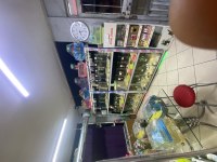 Antalya da adrese TESLİM HAMSTER VE KAFES