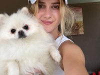 Pomeranian Boo Yavruları