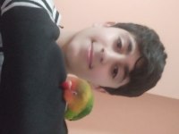 6 aylık sağlıklı cennet papağanı