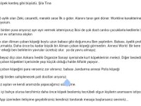 Köpeklerimiz Tina ve Şila evde büyüdüler