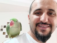 Arkadaş gibi alexander