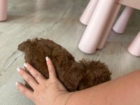 Kore Toy Poodle Yavrusu