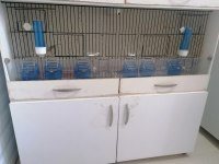 KANARYA FİNCH DİĞER TÜRLER ÜRETİM KAFESİ