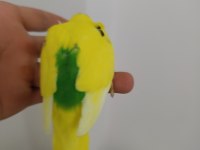 Yeni yem kırmaya başlayan muhabbet kuşları