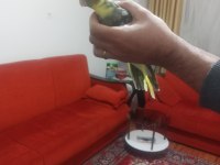 Erkek sultan papağanı