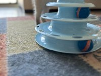 British Shorthair ve Siyam Birleşimi Kedimiz