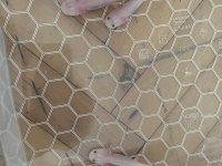 AXOLOTL SEMENDER İSTANBUL İÇİ ELDEN TESLİM