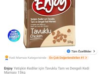 Oyuncu british kedicik