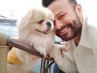 Pekinez Köpeğime Eş Arıyorum