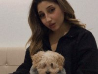 Maltipoo 5 aylık