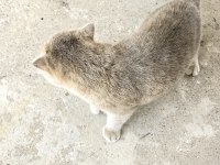 Kedime yeni yuva arıyoruz