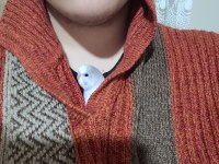Elde yatan erkek muhabbet kuşu