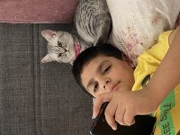 Evcil cins kedimiz