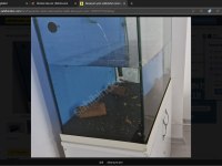 Akvaryum ve balıklar acil satılık