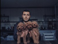 Köpek Eğitmeninden Toy Poodle Bebekler