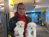 Emsalsiz safkan morkie bebeklerimiz