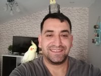 full evcil insan canlısı aile üyesi kuşumuz