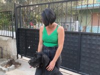 10 aylık dişi danua