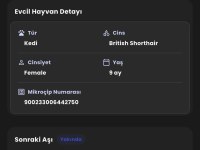 OYUNCU KEDİMİZ YENİ YUVASINI ARIYOR