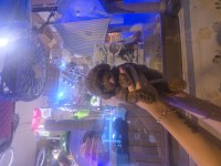 Erkek Ve Dişi Toy Poodle